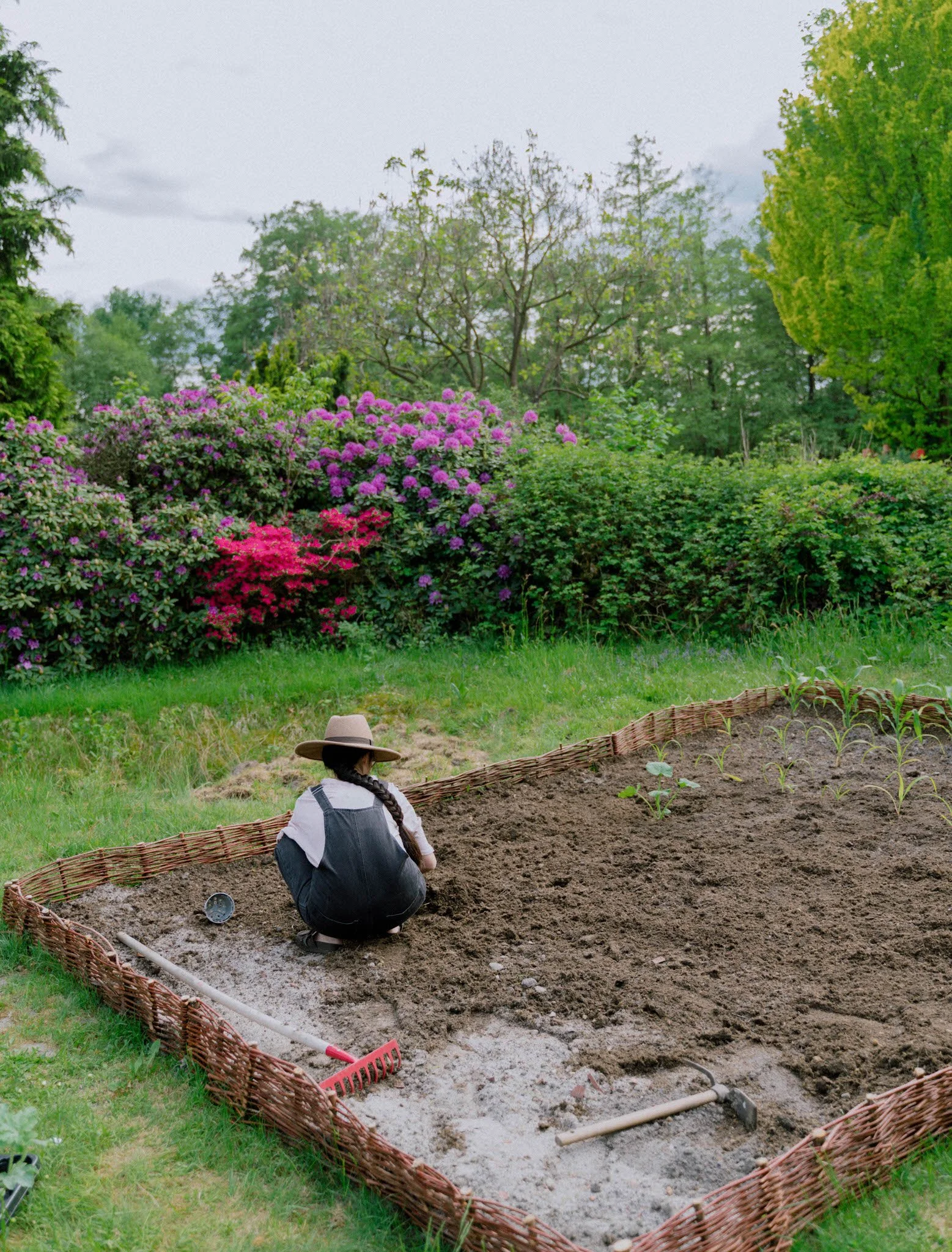Transforming My Empty Backyard into a Heavenly Vegetable Garden